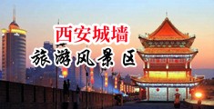 黑毛骚逼熟女中国陕西-西安城墙旅游风景区